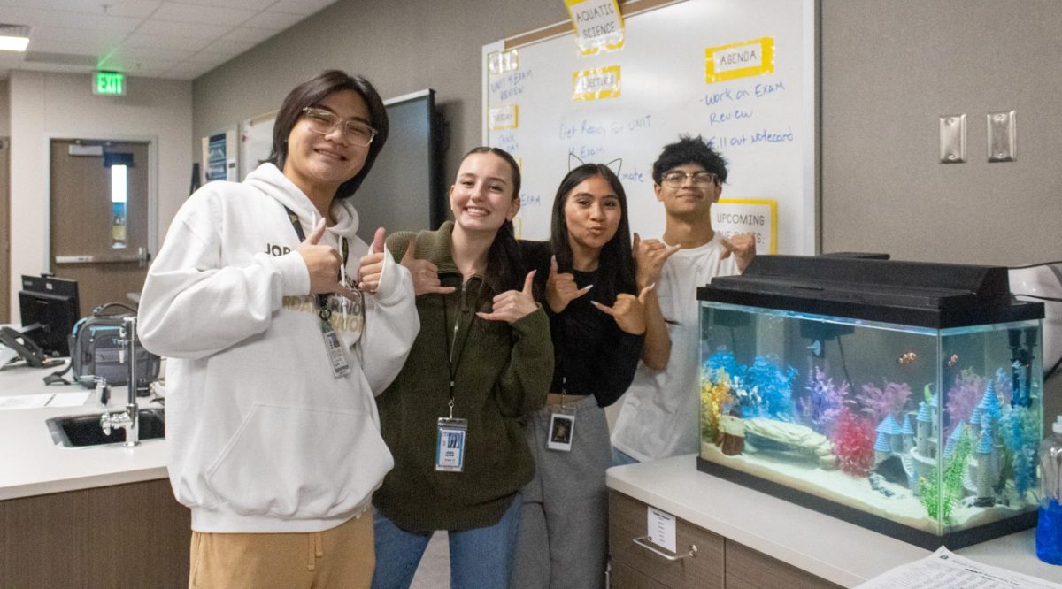 Dylan Truong, Kaylee Barlow, Katelyn Flores and Victor Gonzalez pose with their fish tank projects in Mr. Courtneys class.