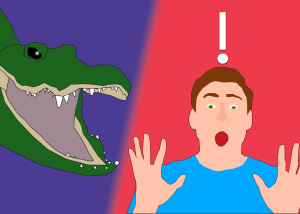 How to Survive an Alligator Encounter